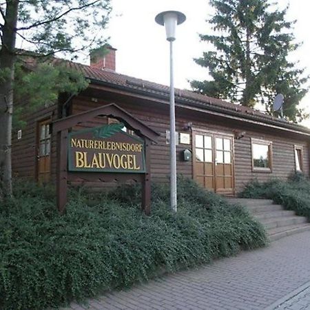 Ferienhaus Nr 32, Typ A, Ferienanlage Blauvogel, Hasselfelde, Harz Εξωτερικό φωτογραφία