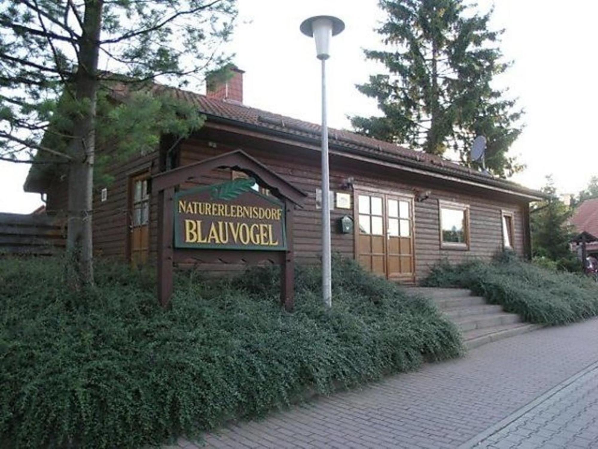 Ferienhaus Nr 32, Typ A, Ferienanlage Blauvogel, Hasselfelde, Harz Εξωτερικό φωτογραφία
