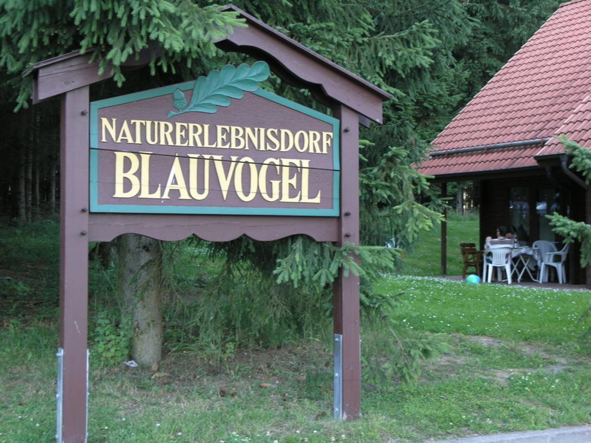 Ferienhaus Nr 32, Typ A, Ferienanlage Blauvogel, Hasselfelde, Harz Εξωτερικό φωτογραφία